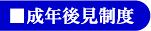 成年後見制度